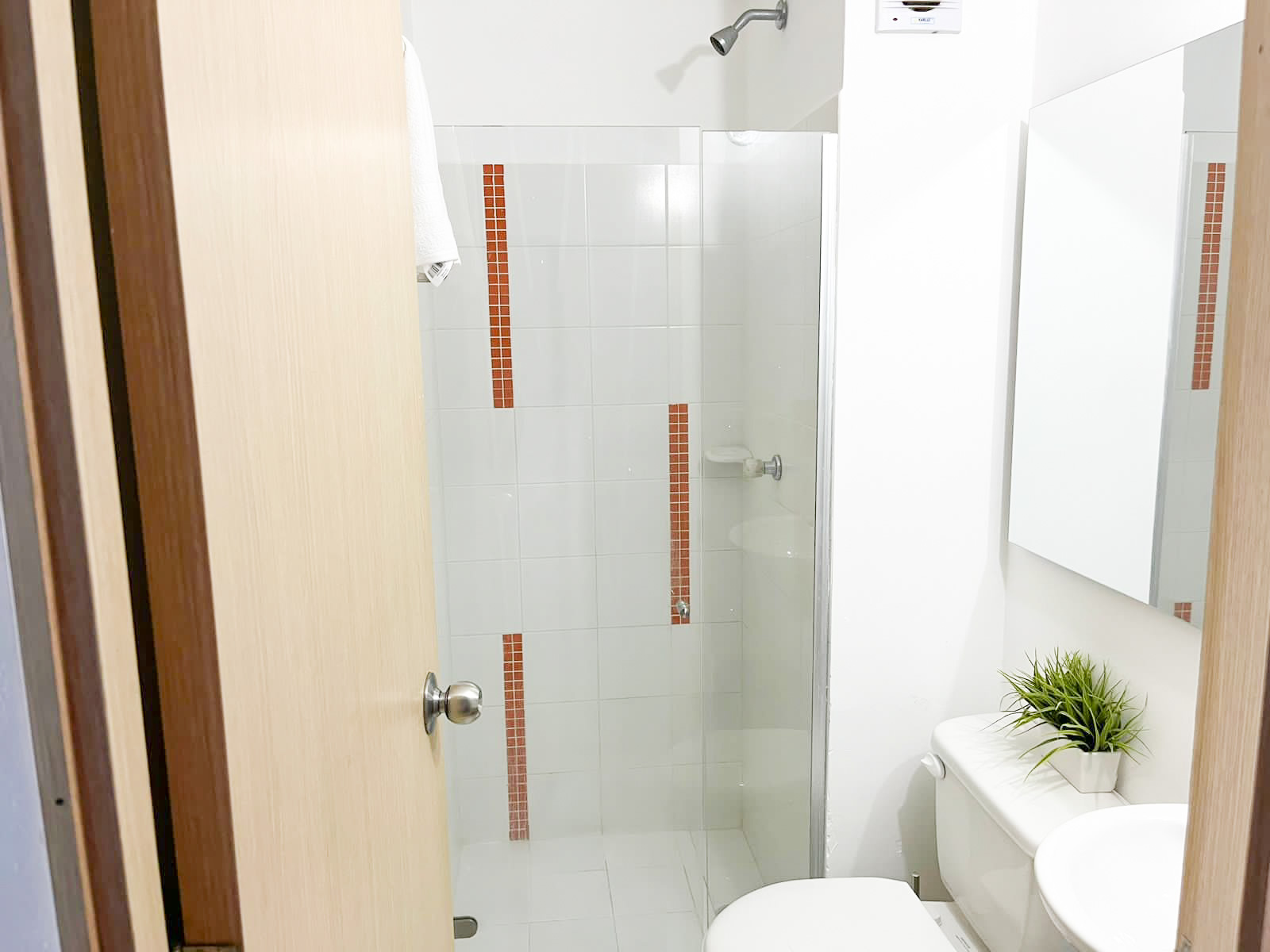 Baño 1 (Foto 1)